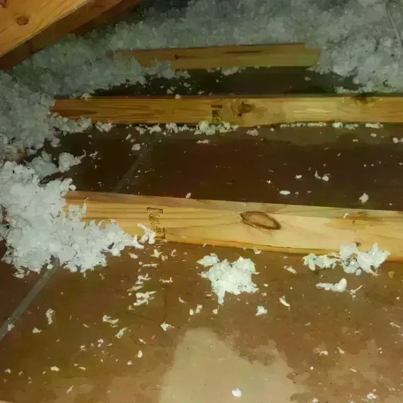 Attic Water Damage in Canterwood, WA