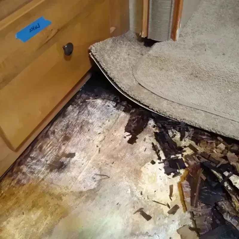 Wood Floor Water Damage in Canterwood, WA